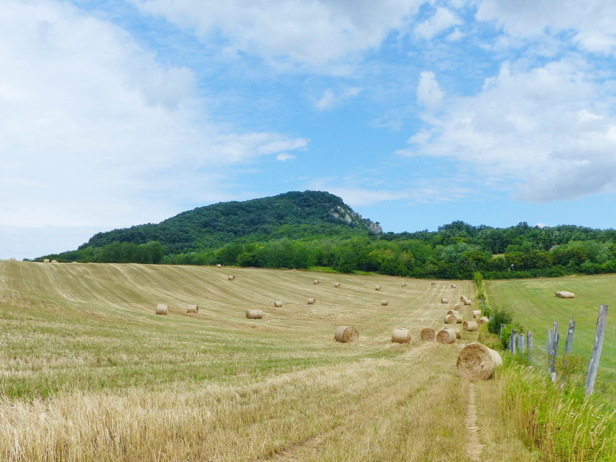 Visszatekintés a mezőről a Bajóti Öreg-kőre