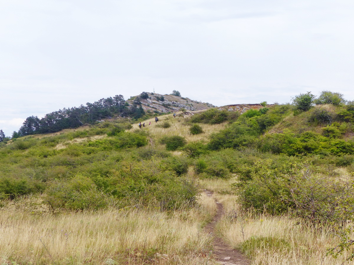 Útban a Hegyes-kő csúcsa felé