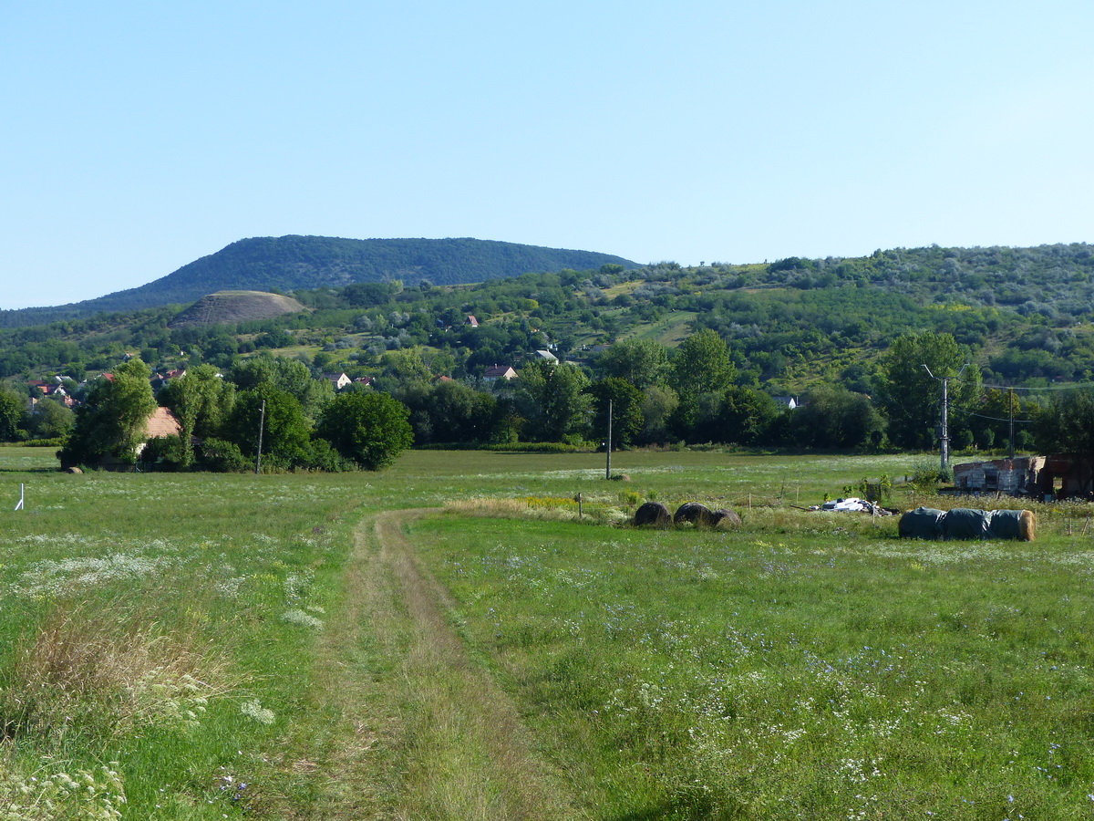 Visszaereszkedtem a dombról Sárisáp határába
