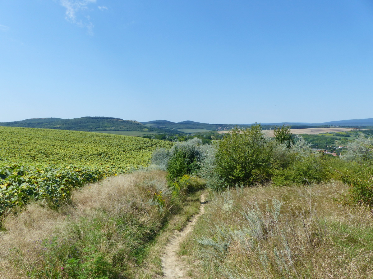 Az Öreg-szőlők gerincéről ismét megpillantottam a Kőszikla-hegyet (balra)