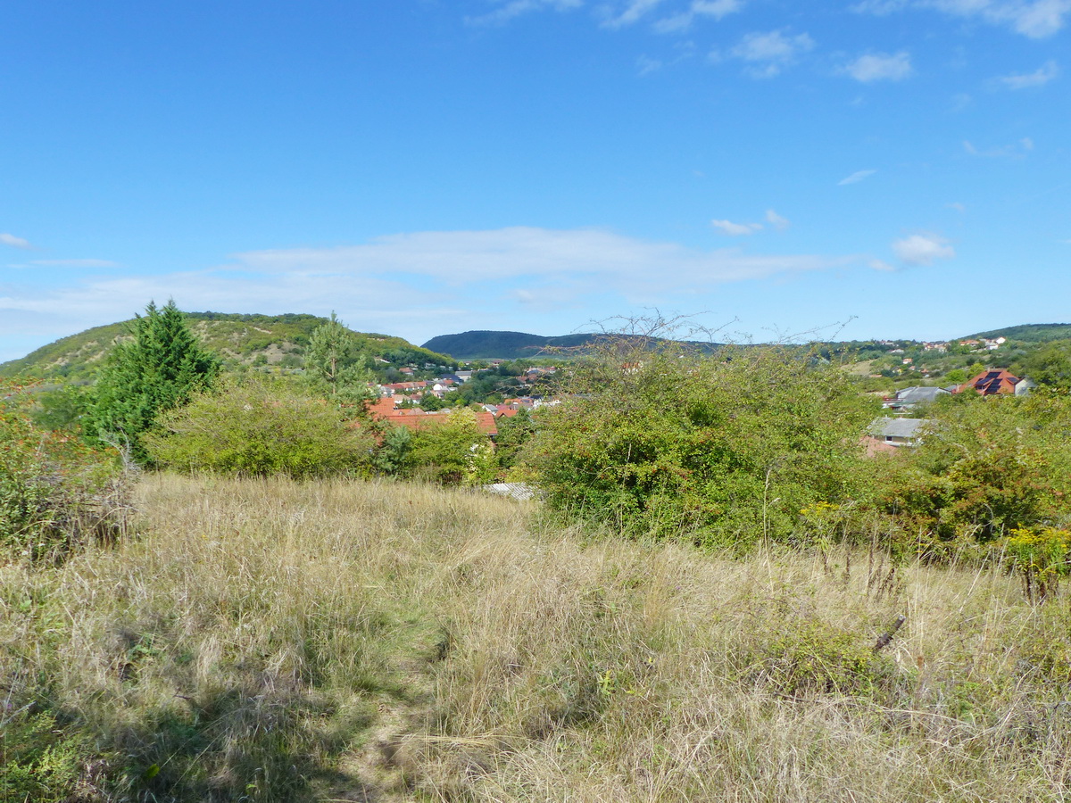 Kilátás a kanyargó ösvényről Csolnokra