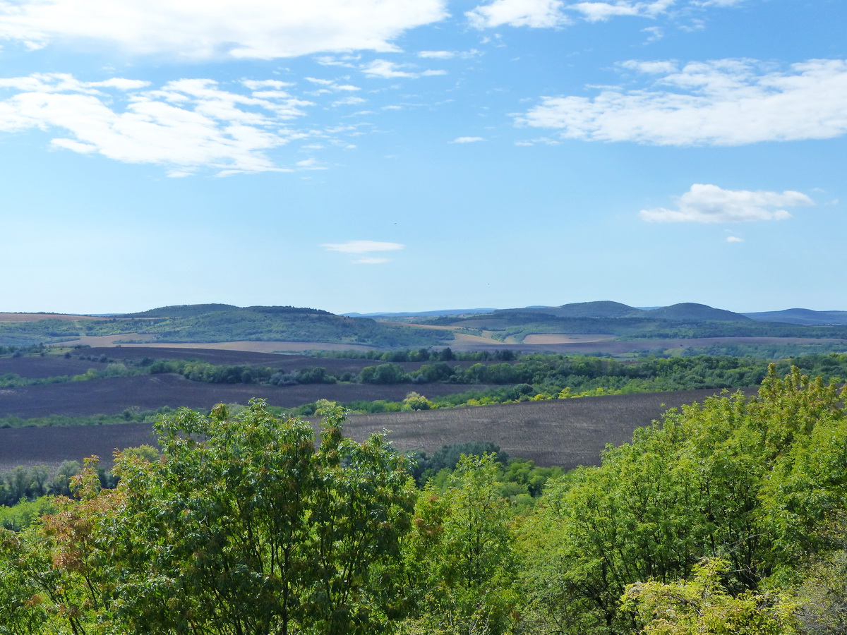 Pálinkás-táró kör - Kilátás a Magos-hegyről a Gerecse dombjaira