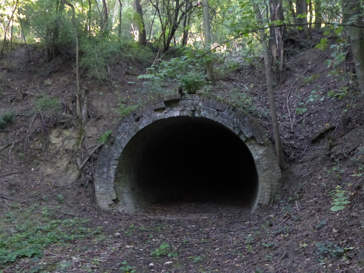 Ösvény vezetett a Pálinkás-táró bejáratához