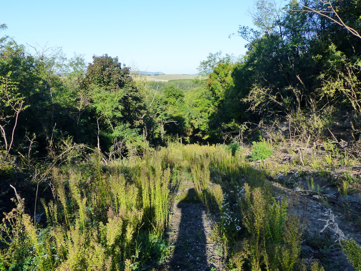 Visszatekintés a meddősikló pályájáról a völgybe