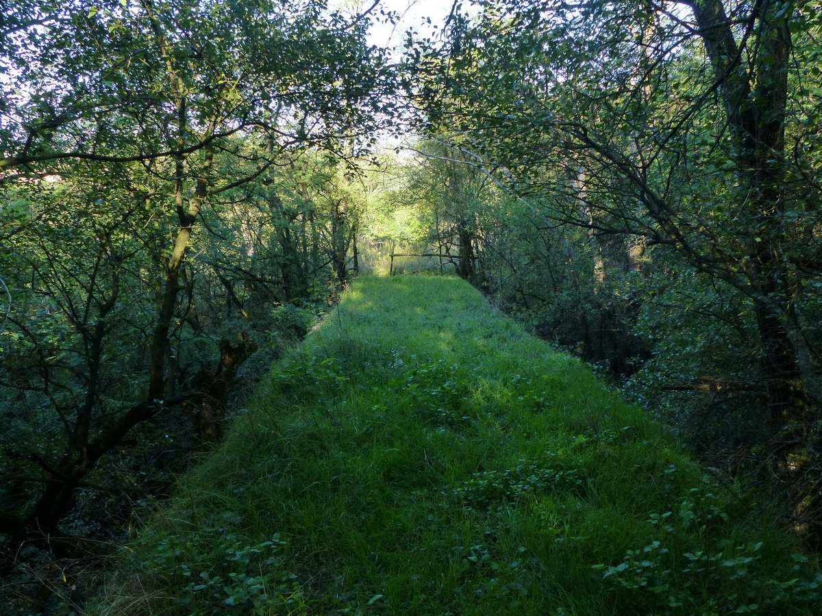 A meddősikló még egy mára befüvesedett hídon is átvezetett