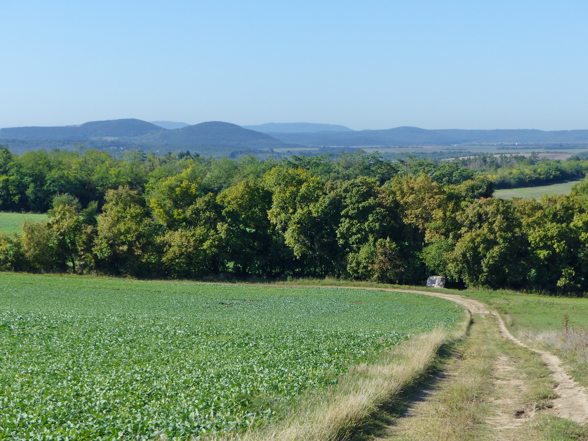 Az emlékműtől továbbindulva felkapaszkodtam a Nagy-Gete oldalába és kinyílt a panoráma a Gerecse dombjaira