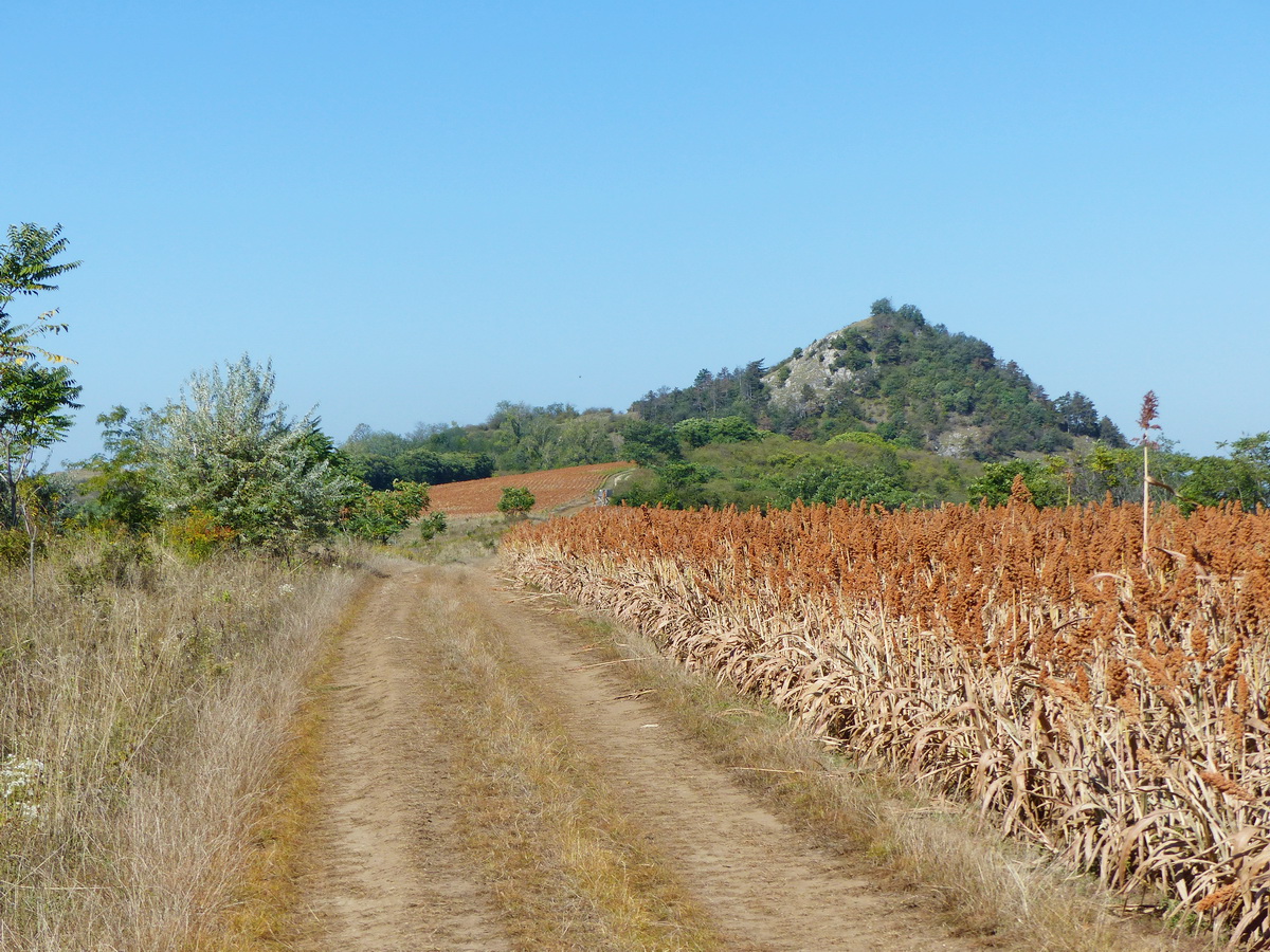 Pálinkás-táró kör - Kilátás a túra útvonaláról a Hegyes-kőre