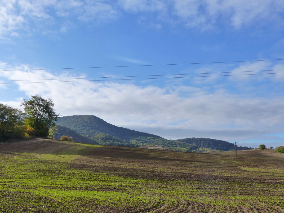A mezőkre kiérve pillantottam meg a Nagy-Gete erdős oldalát