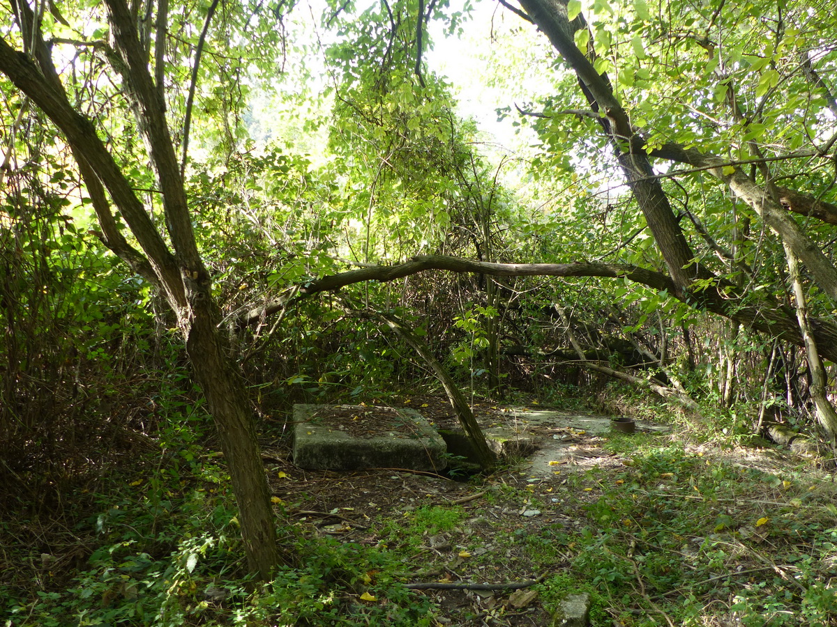 Kábelakna az erdőfolt közepén