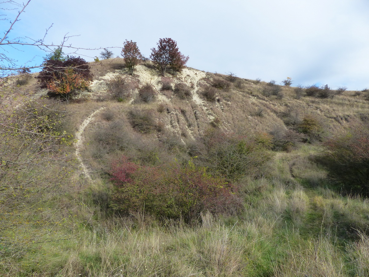 Oda kéne felkapaszkodnom...