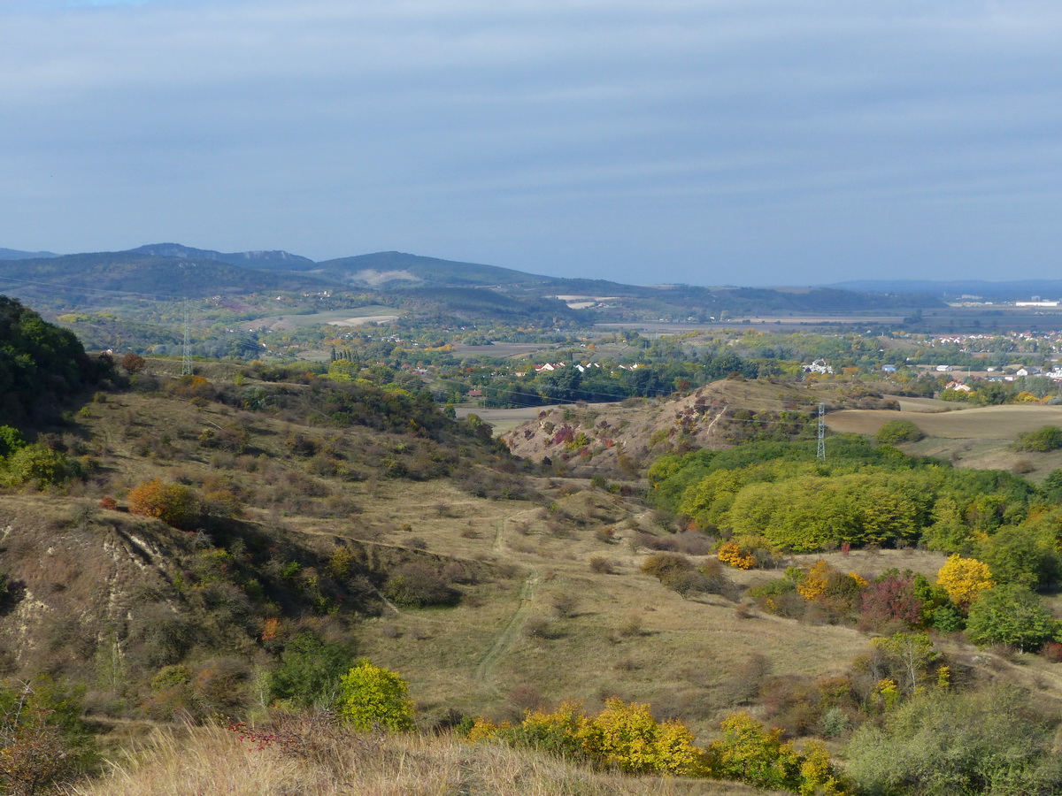 A lenn kanyargó keréknyomokon jöttem