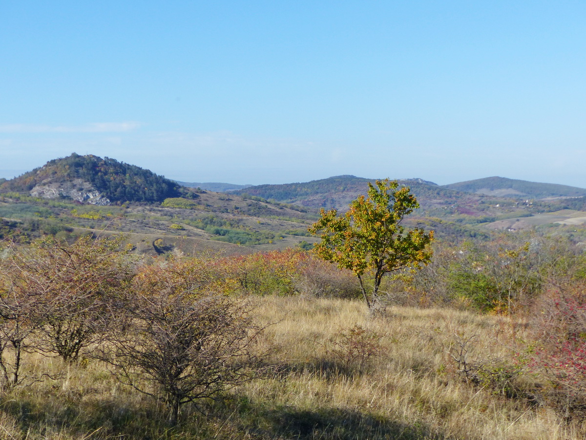 Kilátás a Hegyes-kőre és a környező hegyekre