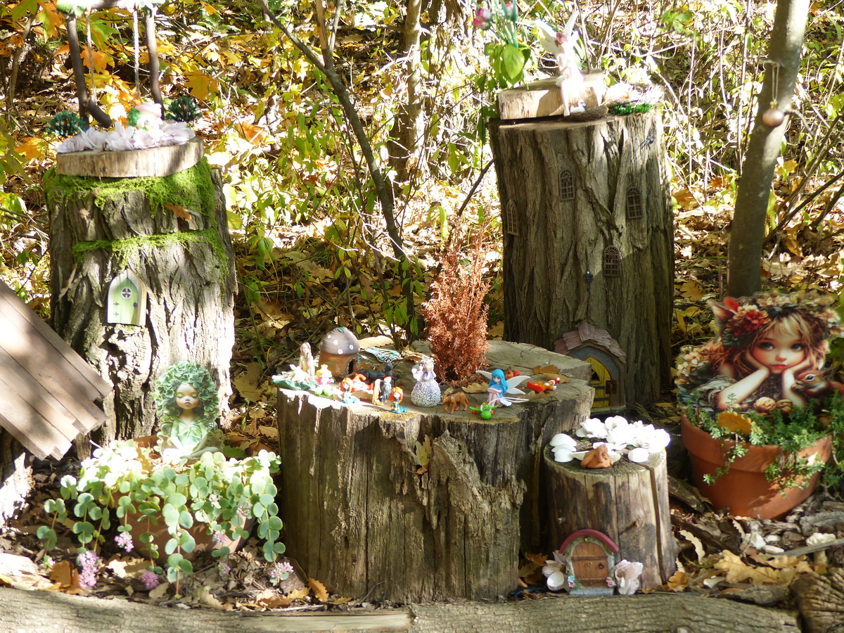 Erdei tündérpark Csolnok határában