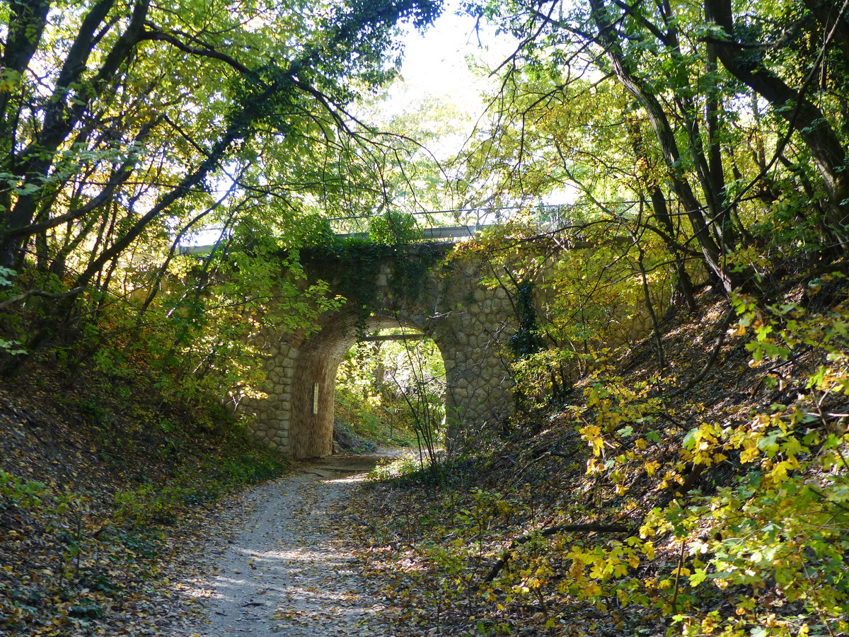 Híd a volt Homokvasút pályája felett