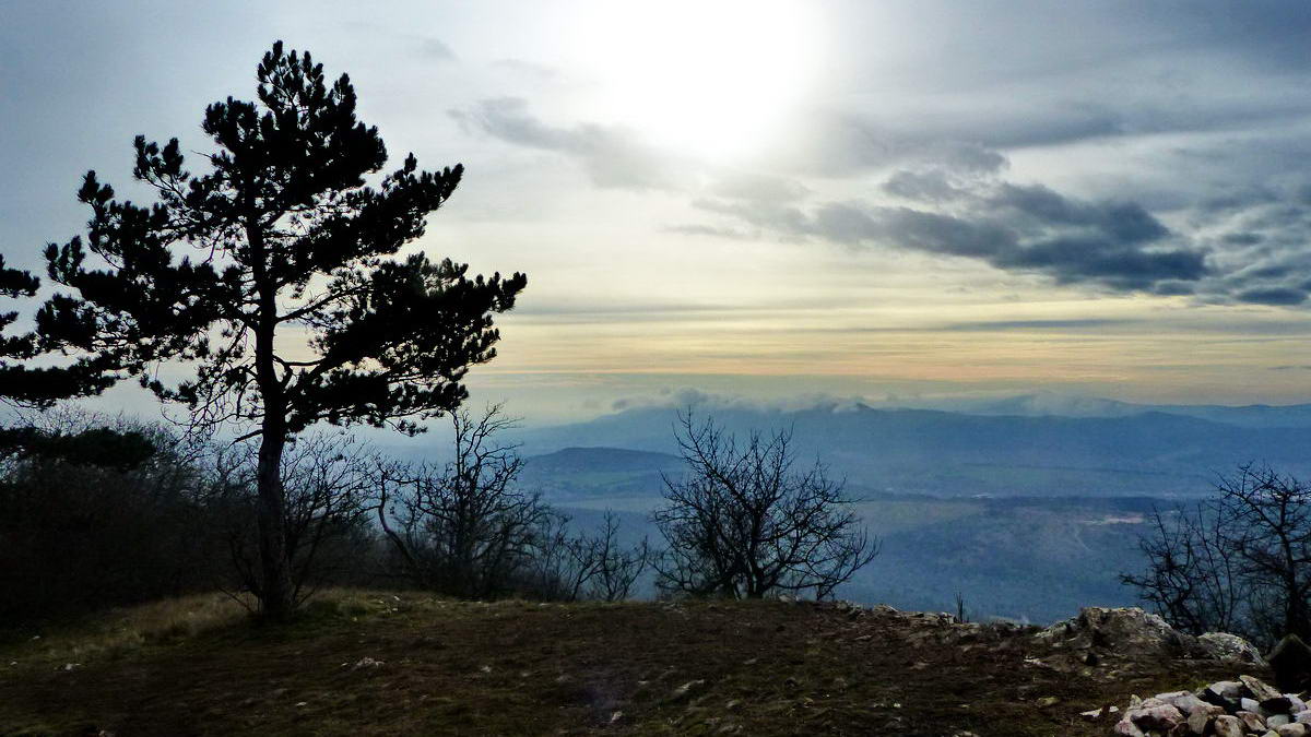 Végig a Pilisi piroson VI.