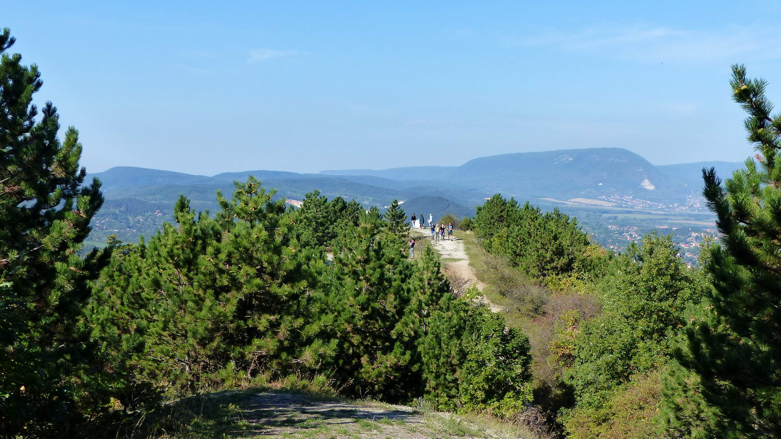 Túra Fenyőgyöngyétől Nagykovácsiig a budai hegyek között