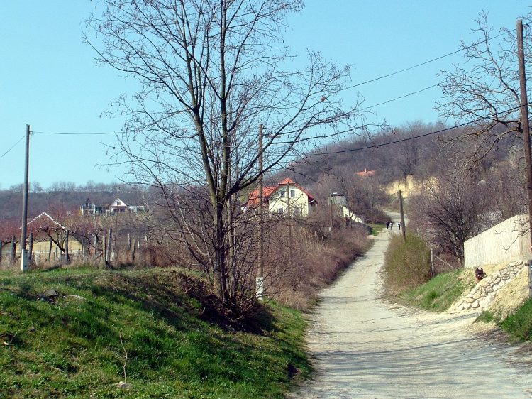 Szekszárd - Meredek kapaszkodás a dombok közé