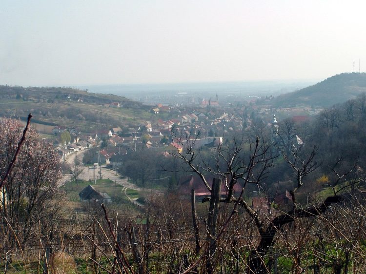 Szekszárd - Visszatekintés a városra a dombok közül