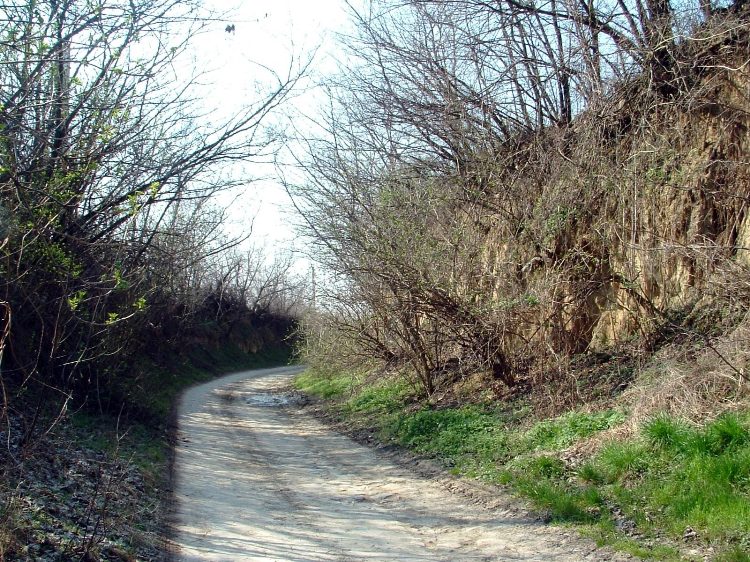 Szekszárdi-dombság - Löszös falak között kanyargó úton