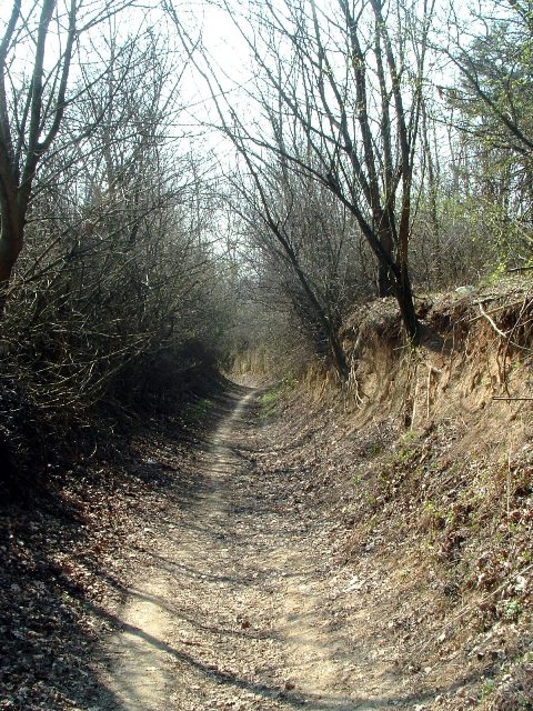 Szekszárdi-dombság - A Szarvas-szurdik kezdete
