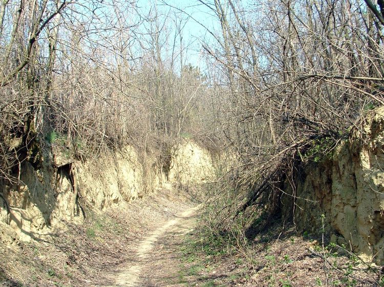Szekszárdi-dombság - Mélyülő löszfalak között