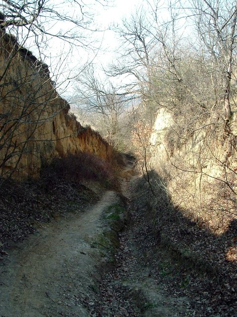 Szekszárdi-dombság - A Szarvas-szurdik legmélyebb szakasza