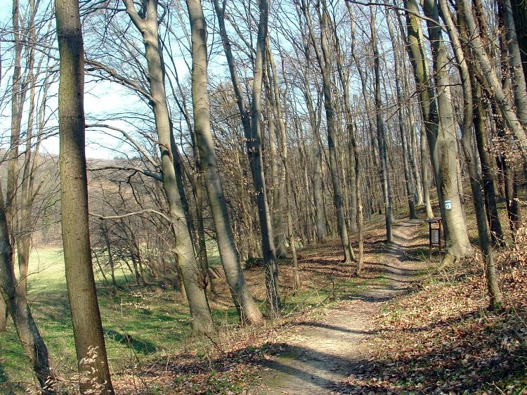 Szekszárdi-dombság - A Sötét-völgy oldalában