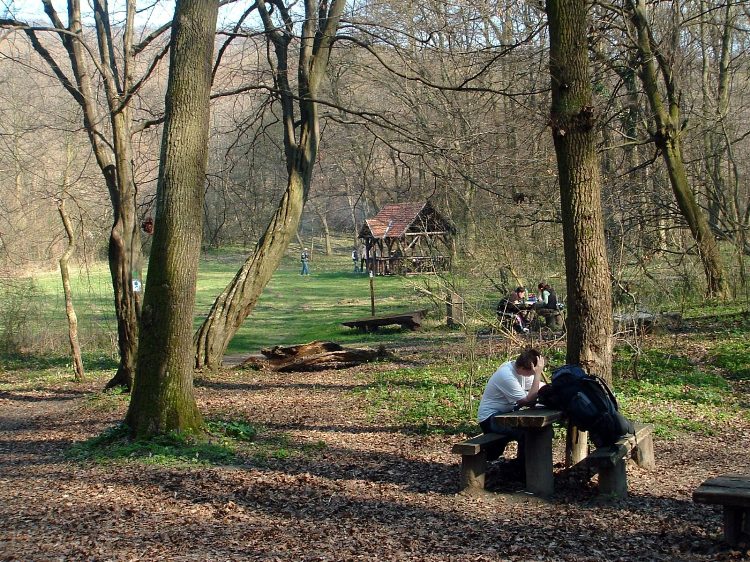 Szekszárdi-dombság - Erdei pihenő a Haramia-forrás mellett