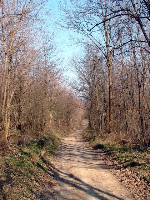 Szekszárdi-dombság - Földúton a gerincen
