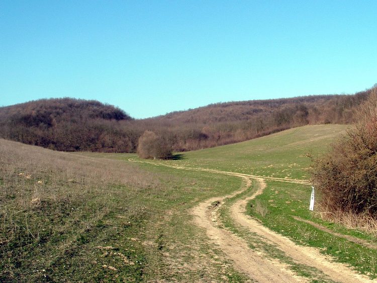 Szekszárdi-dombság - A Grábóc feletti legelőkön