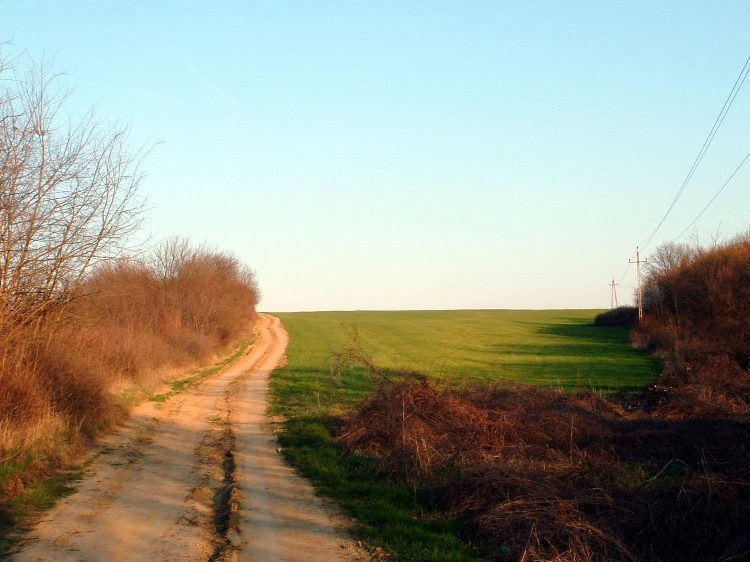 Szekszárdi-dombság - Alkonyat Grábóc felett a mezőkön