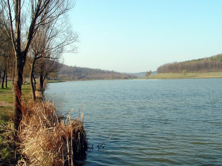 Szekszárdi-dombság - A Szálkai-víztároló 1.