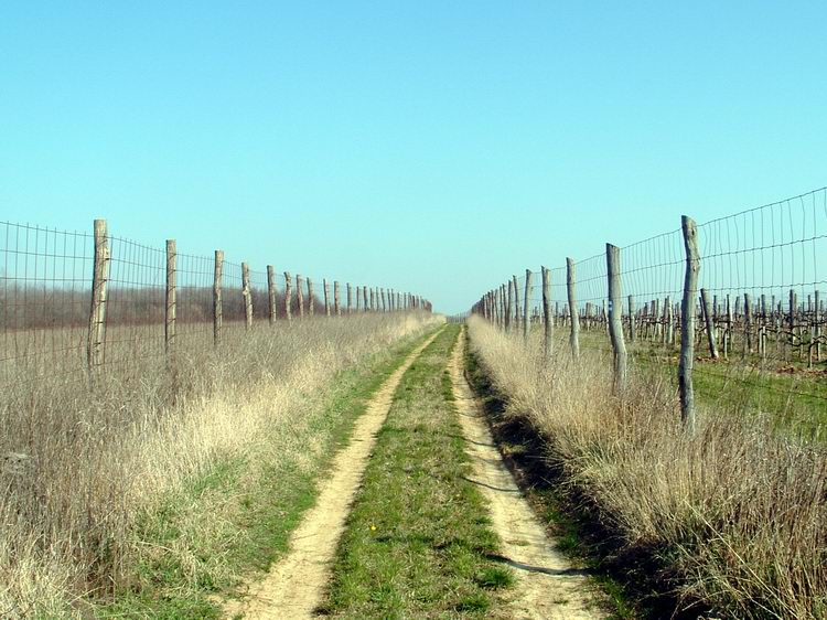 Szekszárdi-dombság - Kerítések között