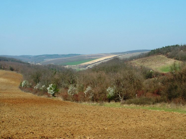 Szekszárdi-dombság - Visszapillantás Kismórágy völgyére