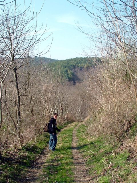 Szekszárdi-dombság - Fenn a gerincen