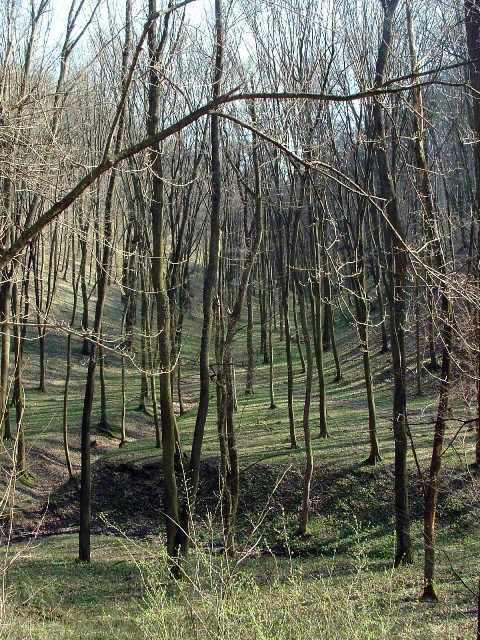 Szekszárdi-dombság - A Henrik-forrás völgyében 1.