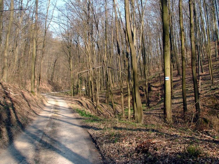 Szekszárdi-dombság - A Henrik-forrás völgyében 2.