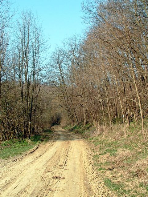 Szekszárdi-dombság - Löszös földúton