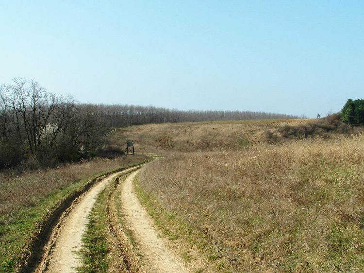 Szekszárdi-dombság - Fenn a dombtetőkön kanyarog az út