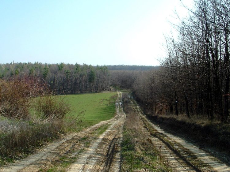 Szekszárdi-dombság - Párhuzamos keréknyomok