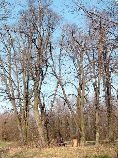 Szekszárdi-dombság - A Héthárs-pihenő