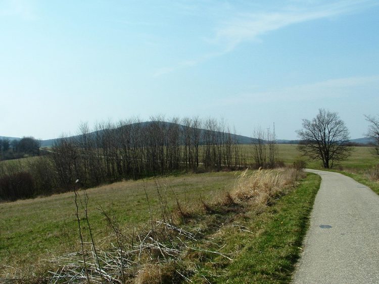 Szekszárdi-dombság - Feltűntek a Mecsek első hegyei