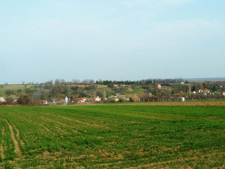 Mecsek - Zengővárkony látképe a temetőtől