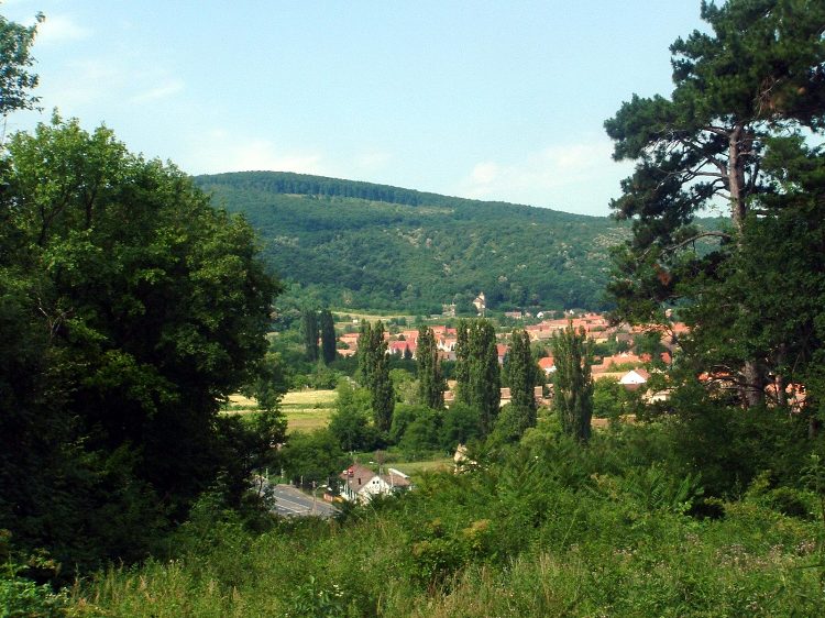 Mecseknádasd - Kilátás a várból a Mecsekre 1.