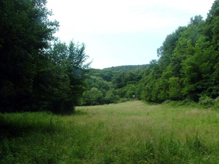 Mecsek - A Hidasi-völgyben 3.