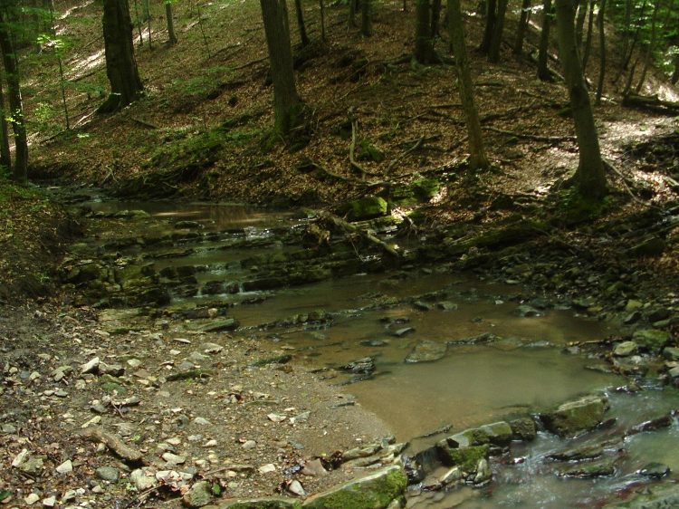 Mecsek - A Hidasi-völgyben 7.