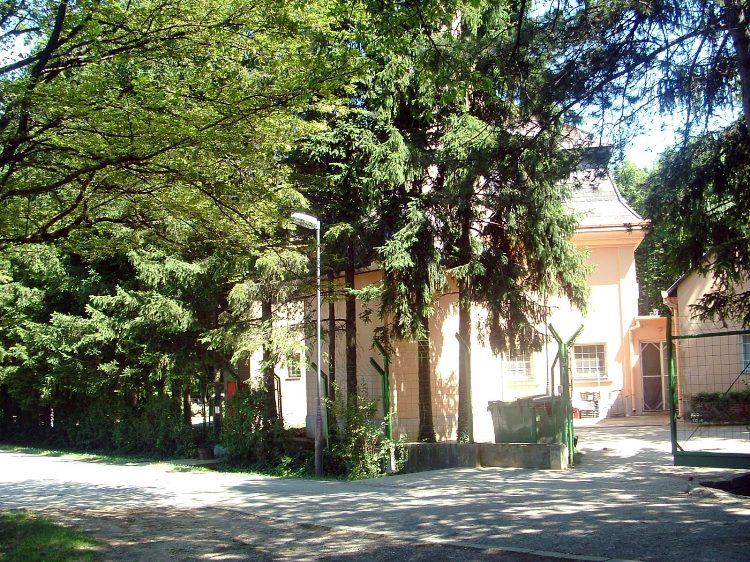 Mecsek - A Köves-tetőn 2.
