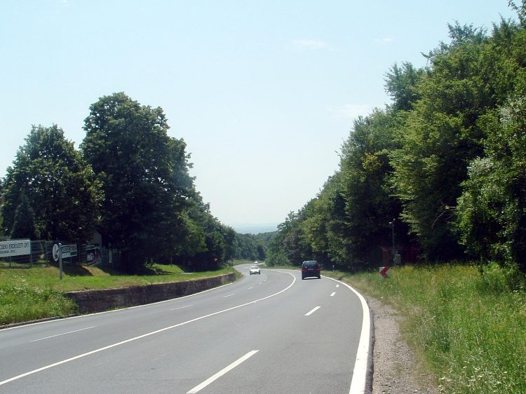 Mecsek - Árpádtetőn 5.