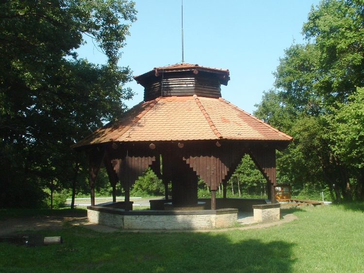 Mecsek - A Remete-réten 1.