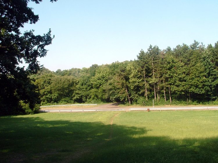 Mecsek - A Remete-réten 2.